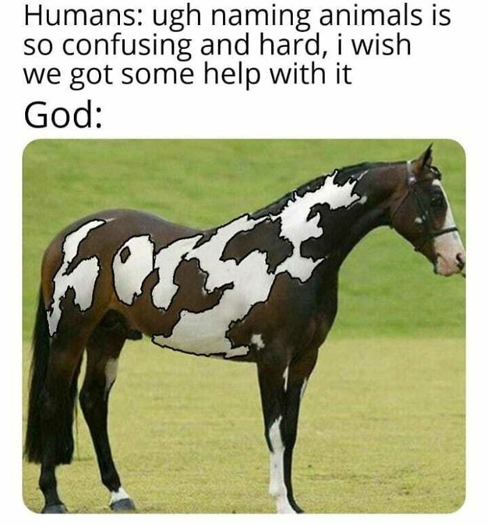 71 Edgy Memes That Might Leave You Laughing Or Cringing 71 Edgy Memes That Might Leave You Laughing Or Cringing