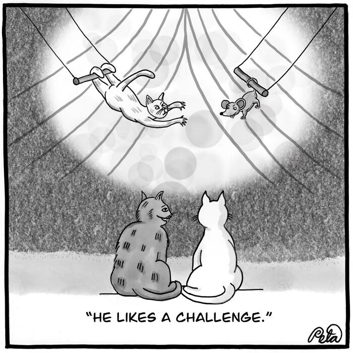 43 New Single-Panel Comics By Peta Manning That Find Humor In Life&rsquo;s Absurdities