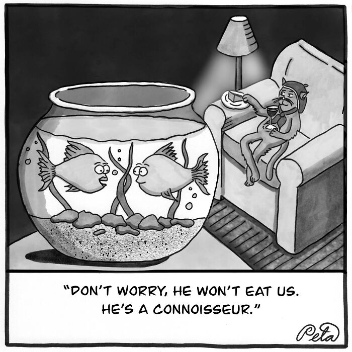43 New Single-Panel Comics By Peta Manning That Find Humor In Life&rsquo;s Absurdities