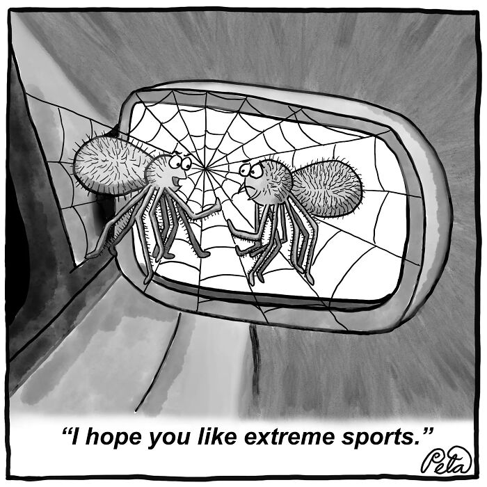 43 New Single-Panel Comics By Peta Manning That Find Humor In Life&rsquo;s Absurdities