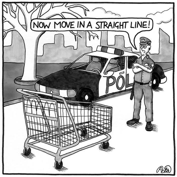 43 New Single-Panel Comics By Peta Manning That Find Humor In Life&rsquo;s Absurdities