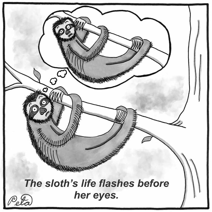 43 New Single-Panel Comics By Peta Manning That Find Humor In Life&rsquo;s Absurdities