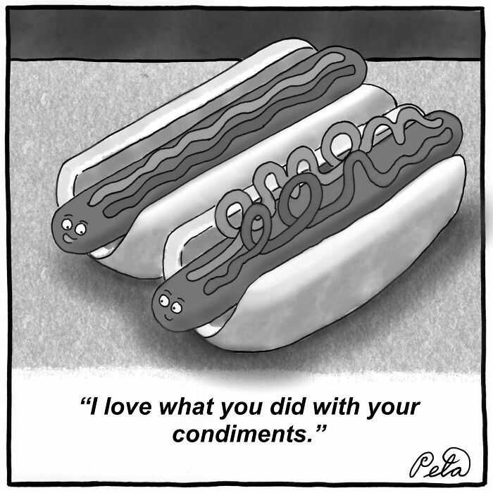 43 New Single-Panel Comics By Peta Manning That Find Humor In Life&rsquo;s Absurdities