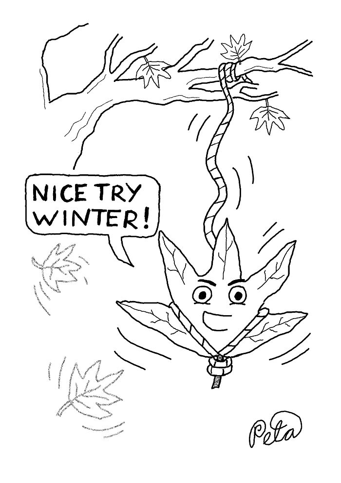43 New Single-Panel Comics By Peta Manning That Find Humor In Life&rsquo;s Absurdities