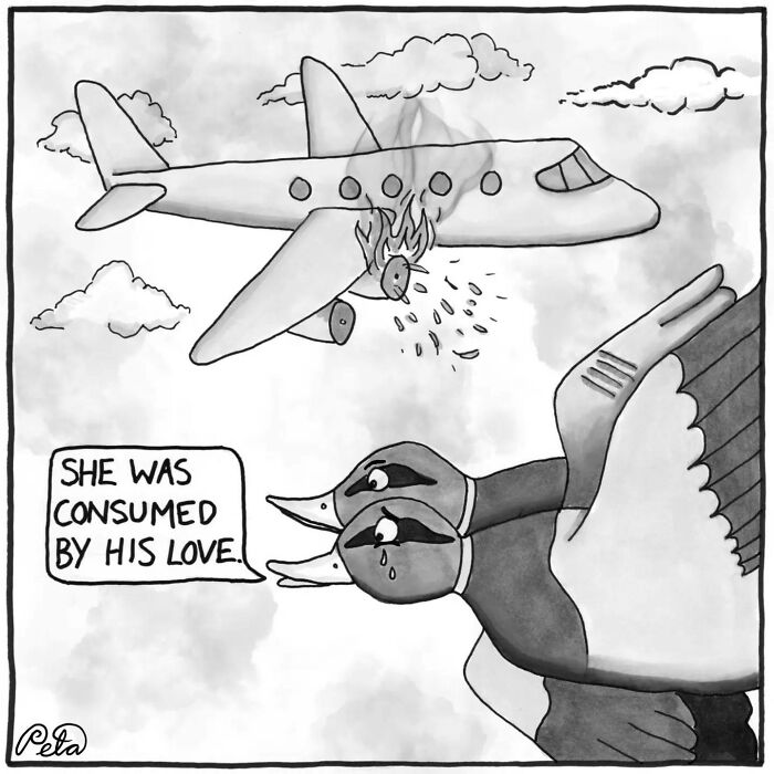 43 New Single-Panel Comics By Peta Manning That Find Humor In Life&rsquo;s Absurdities