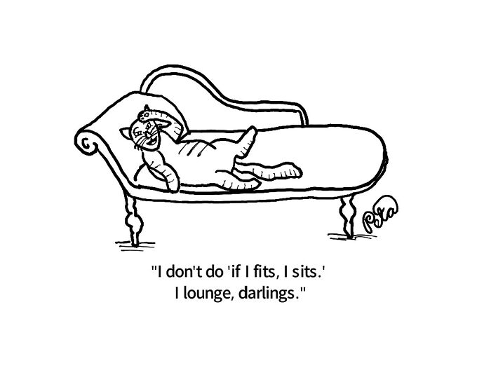 43 New Single-Panel Comics By Peta Manning That Find Humor In Life&rsquo;s Absurdities