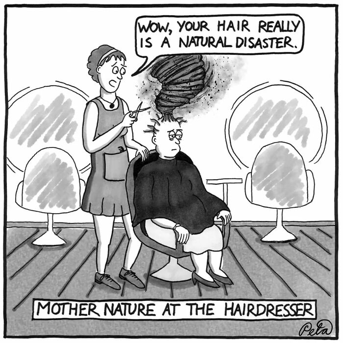 43 New Single-Panel Comics By Peta Manning That Find Humor In Life&rsquo;s Absurdities