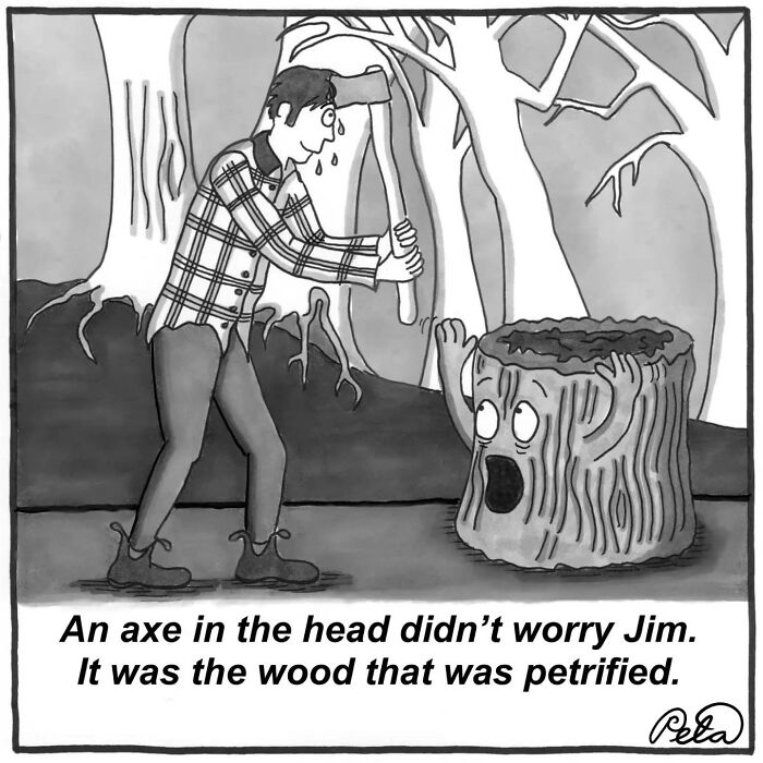 43 New Single-Panel Comics By Peta Manning That Find Humor In Life&rsquo;s Absurdities