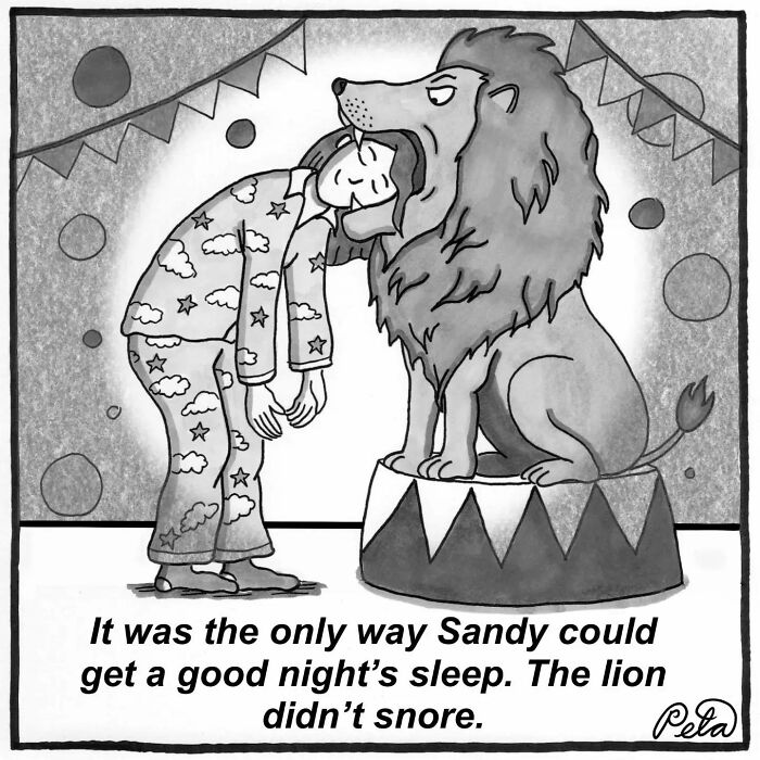 43 New Single-Panel Comics By Peta Manning That Find Humor In Life&rsquo;s Absurdities