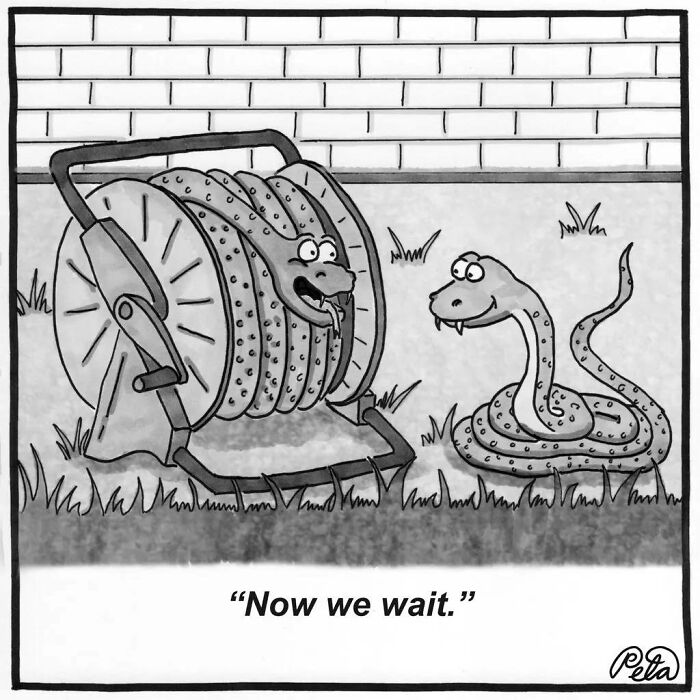 43 New Single-Panel Comics By Peta Manning That Find Humor In Life&rsquo;s Absurdities