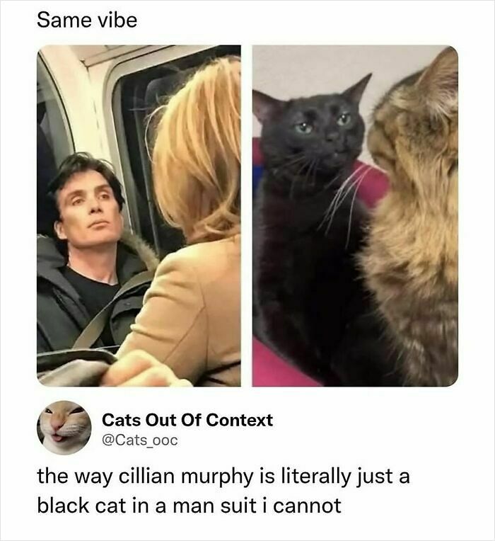 90 Funny And Random Memes To Make You Laugh Before The World Gets A Chance To Ruin It