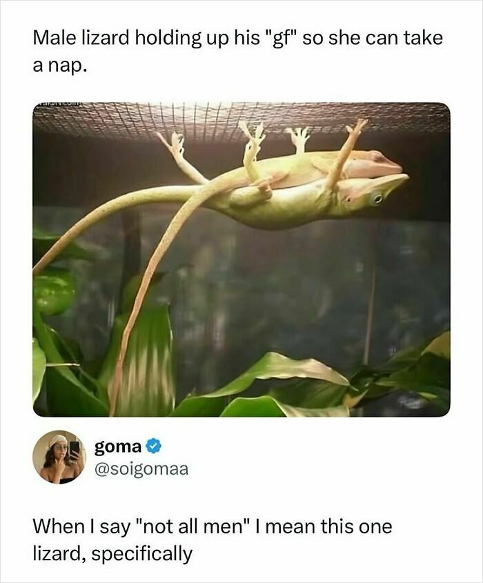 90 Funny And Random Memes To Make You Laugh Before The World Gets A Chance To Ruin It