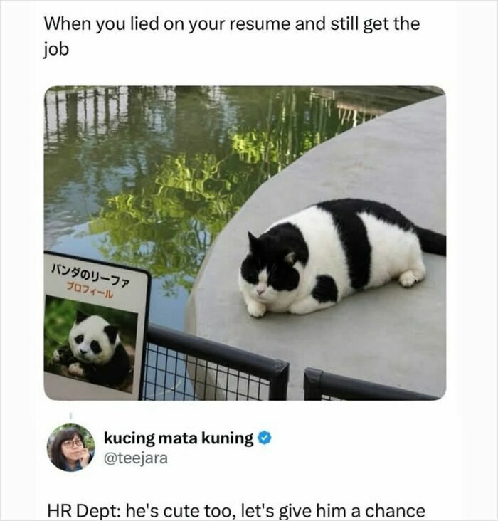 90 Funny And Random Memes To Make You Laugh Before The World Gets A Chance To Ruin It