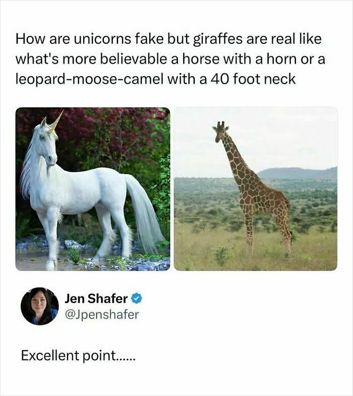 90 Funny And Random Memes To Make You Laugh Before The World Gets A Chance To Ruin It