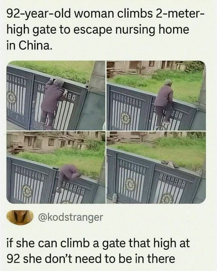 90 Funny And Random Memes To Make You Laugh Before The World Gets A Chance To Ruin It