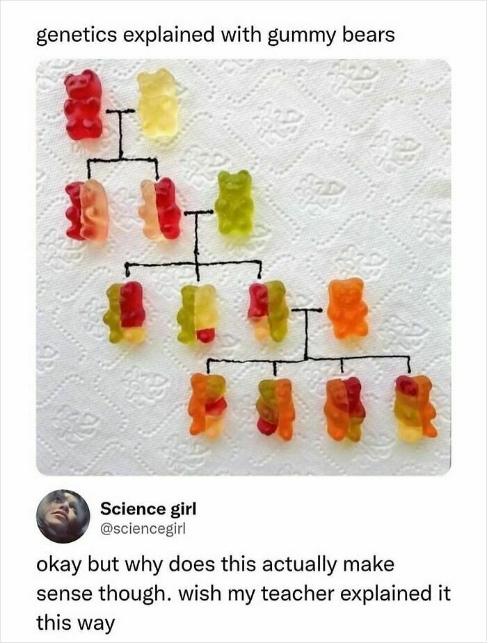 90 Funny And Random Memes To Make You Laugh Before The World Gets A Chance To Ruin It