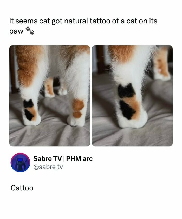 90 Funny And Random Memes To Make You Laugh Before The World Gets A Chance To Ruin It