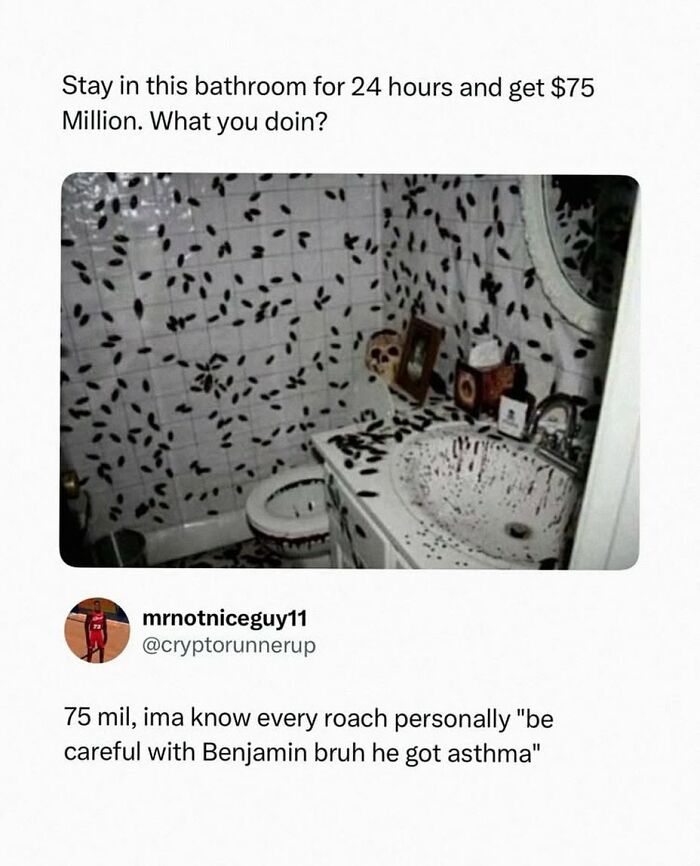90 Funny And Random Memes To Make You Laugh Before The World Gets A Chance To Ruin It