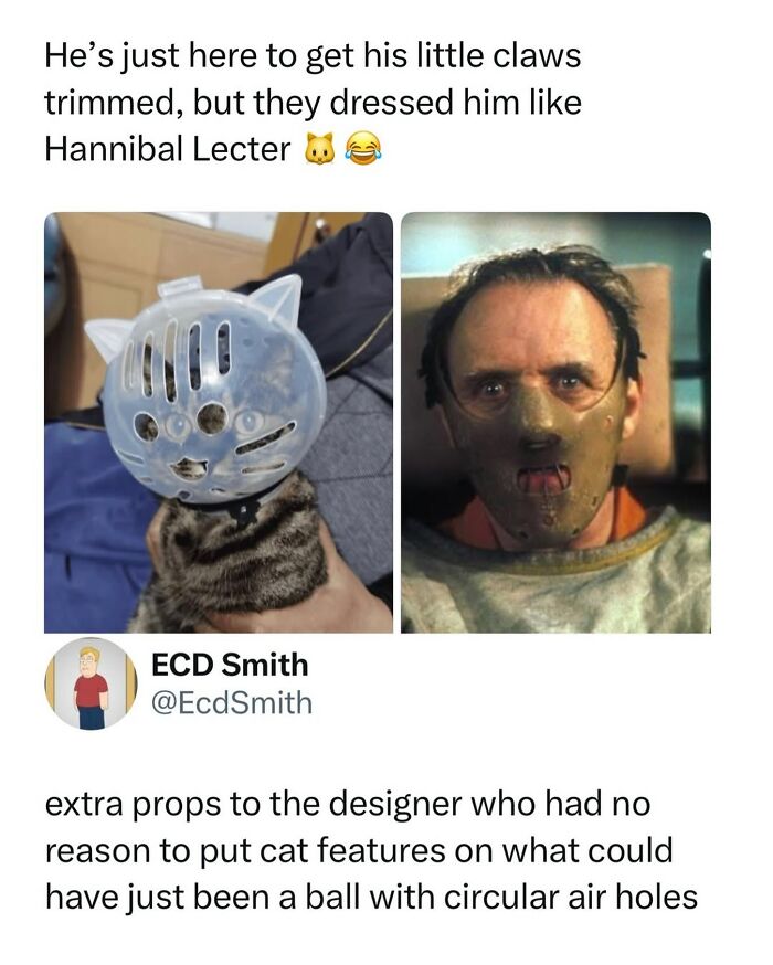 90 Funny And Random Memes To Make You Laugh Before The World Gets A Chance To Ruin It