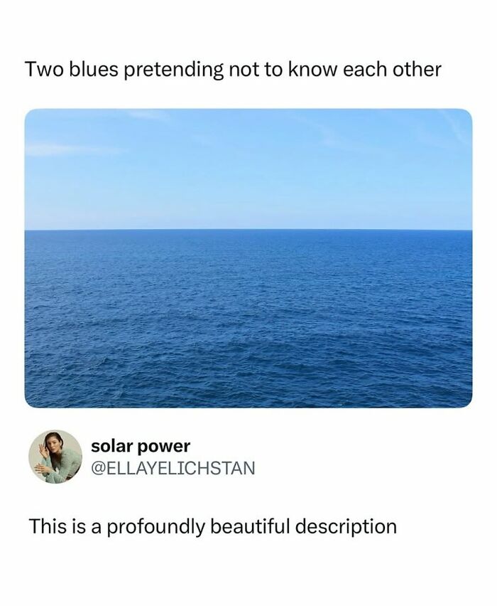 90 Funny And Random Memes To Make You Laugh Before The World Gets A Chance To Ruin It