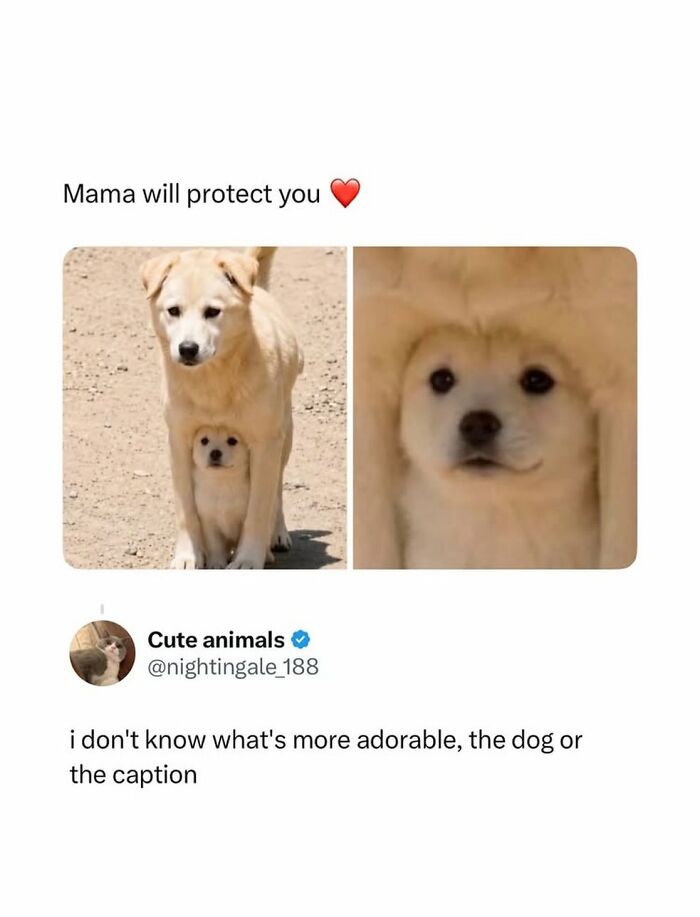 90 Funny And Random Memes To Make You Laugh Before The World Gets A Chance To Ruin It