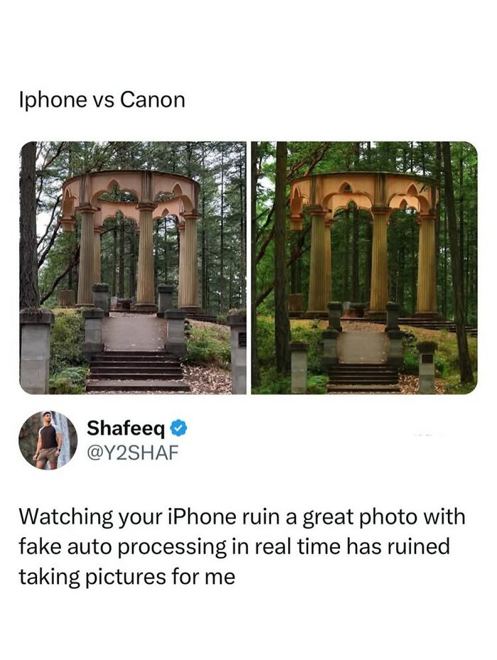 90 Funny And Random Memes To Make You Laugh Before The World Gets A Chance To Ruin It