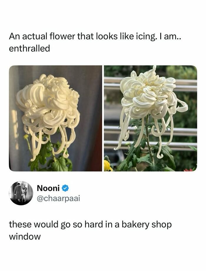90 Funny And Random Memes To Make You Laugh Before The World Gets A Chance To Ruin It