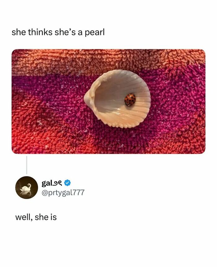 90 Funny And Random Memes To Make You Laugh Before The World Gets A Chance To Ruin It