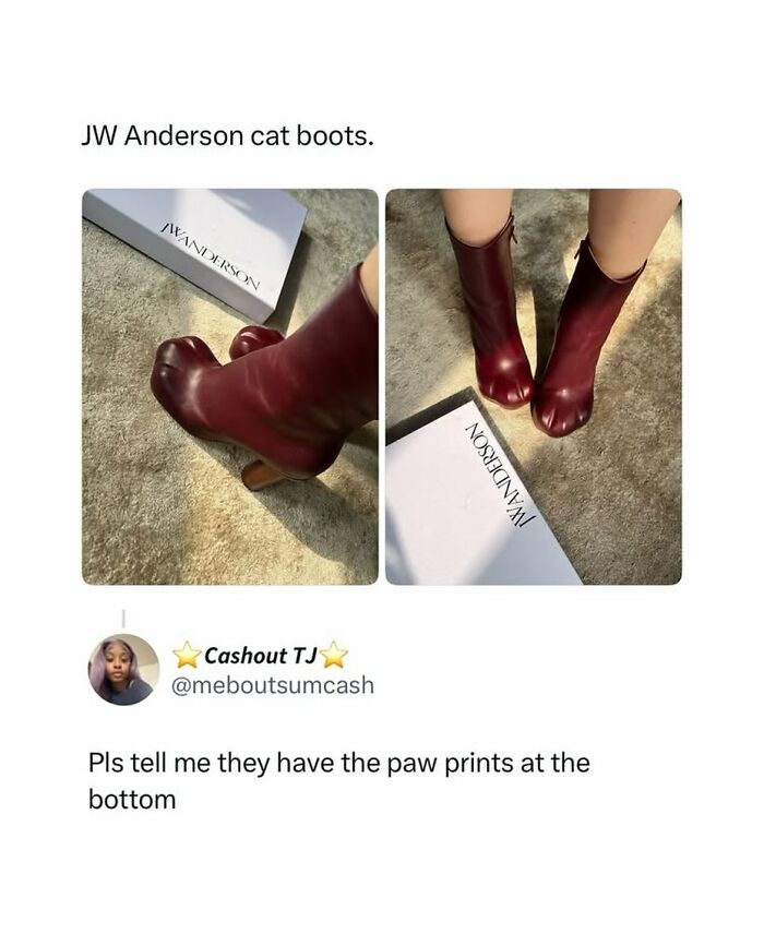 90 Funny And Random Memes To Make You Laugh Before The World Gets A Chance To Ruin It