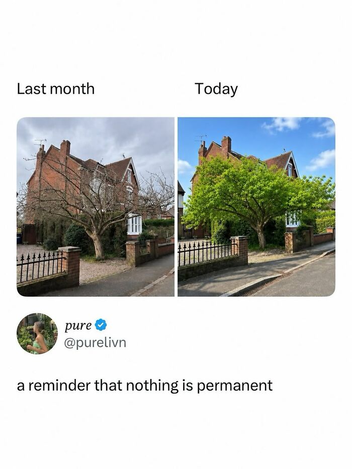 90 Funny And Random Memes To Make You Laugh Before The World Gets A Chance To Ruin It