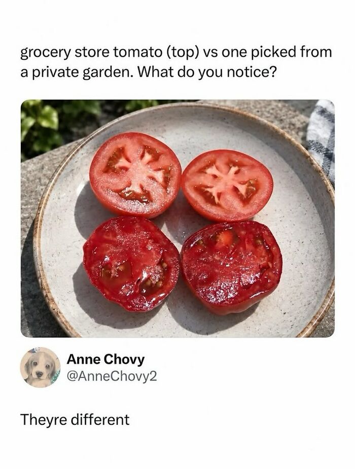 90 Funny And Random Memes To Make You Laugh Before The World Gets A Chance To Ruin It