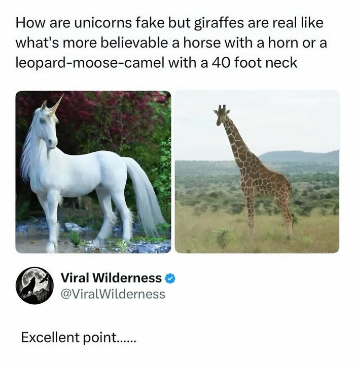 86 Posts About Nature, Wilderness And Animals To Make Your Day Better Or Teach You Something New