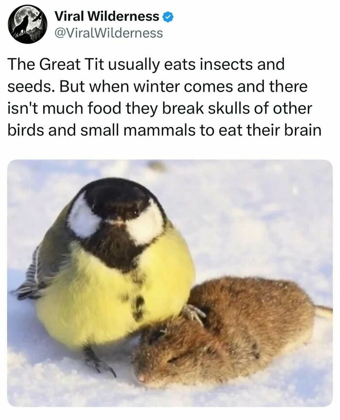 86 Posts About Nature, Wilderness And Animals To Make Your Day Better Or Teach You Something New