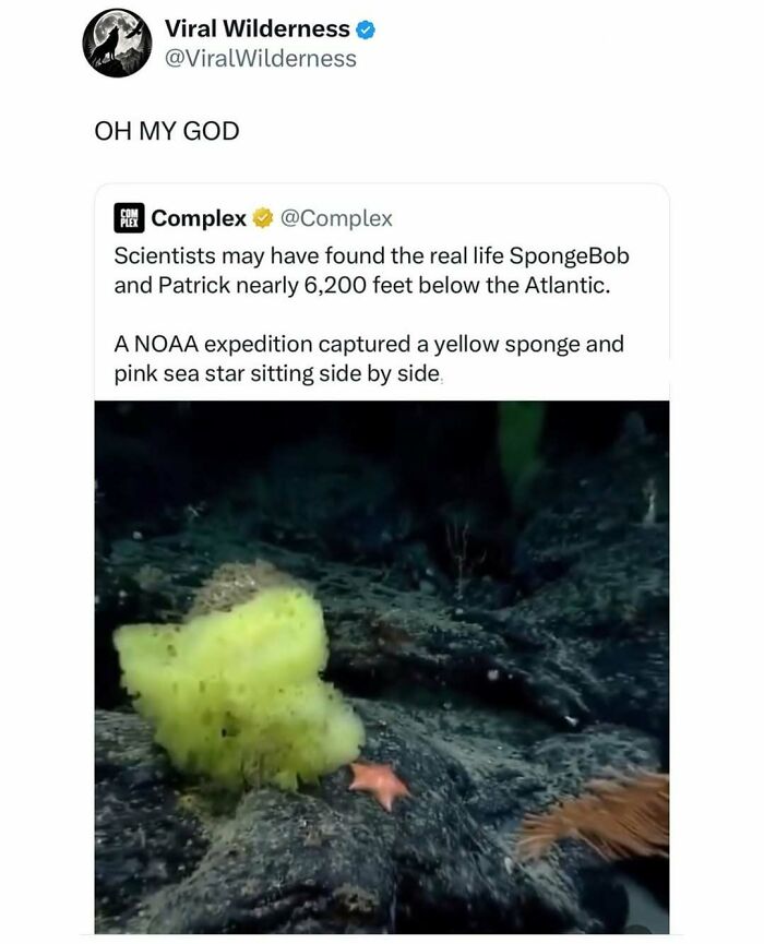 86 Posts About Nature, Wilderness And Animals To Make Your Day Better Or Teach You Something New