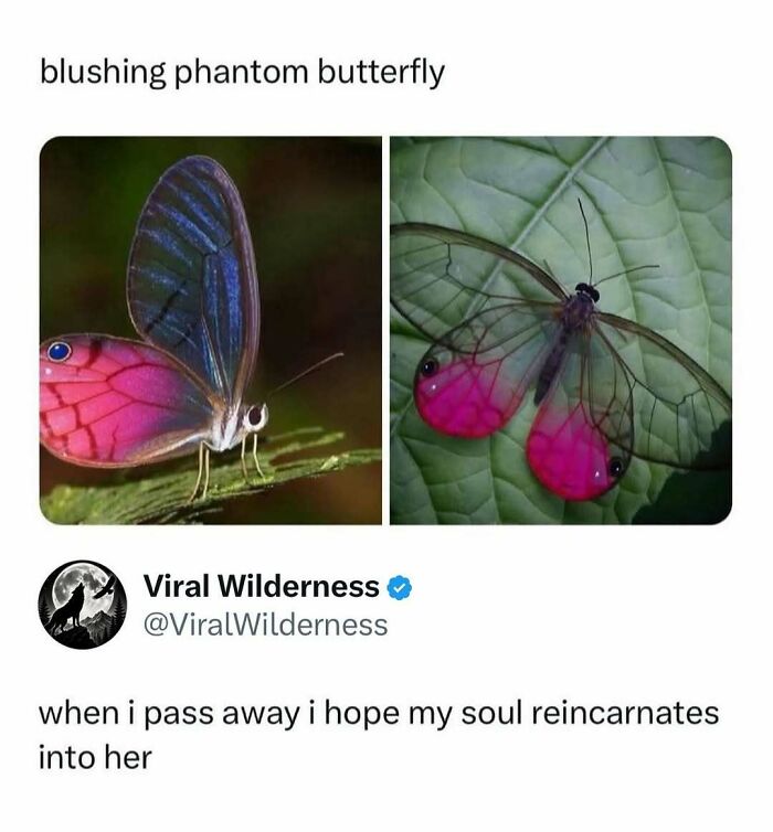 86 Posts About Nature, Wilderness And Animals To Make Your Day Better Or Teach You Something New