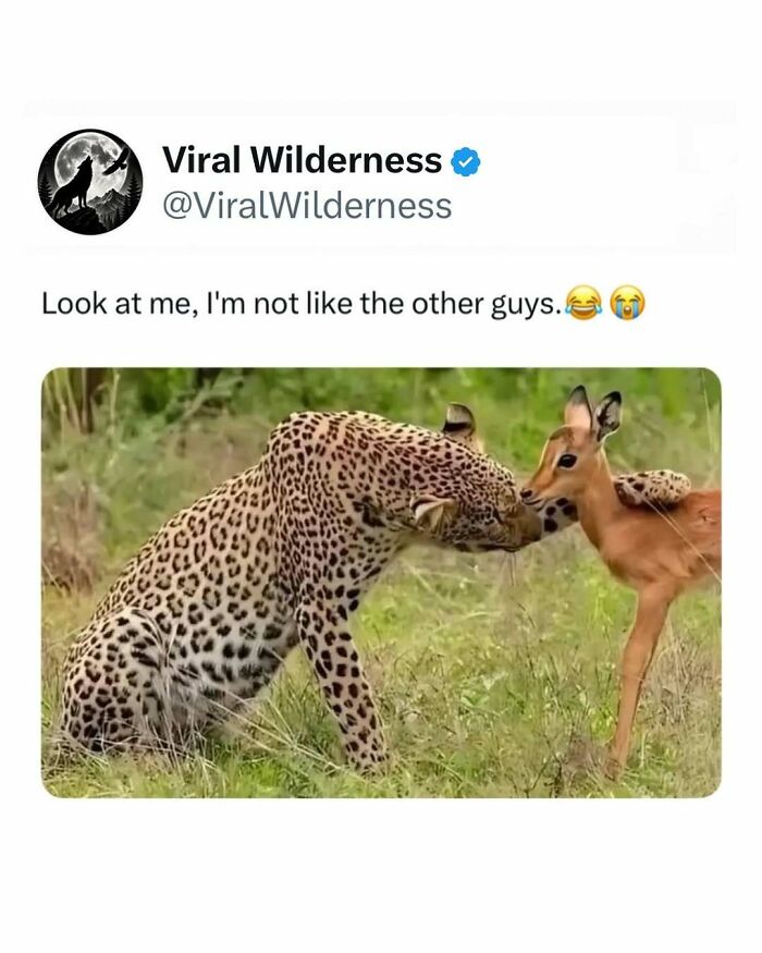 86 Posts About Nature, Wilderness And Animals To Make Your Day Better Or Teach You Something New