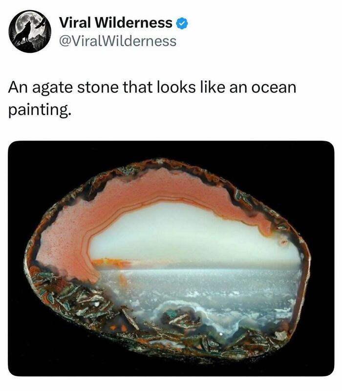 86 Posts About Nature, Wilderness And Animals To Make Your Day Better Or Teach You Something New