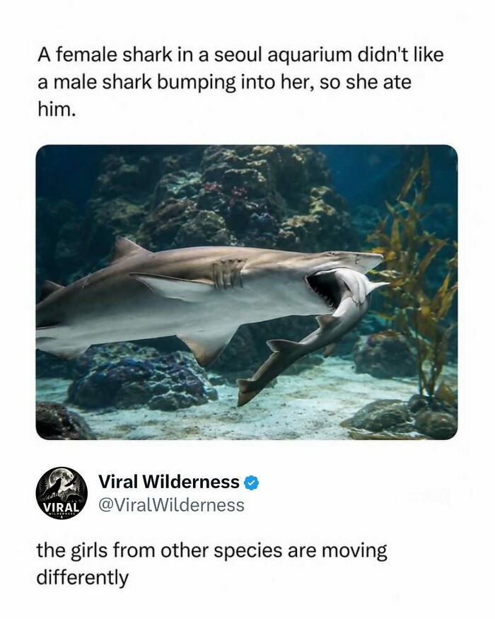 86 Posts About Nature, Wilderness And Animals To Make Your Day Better Or Teach You Something New