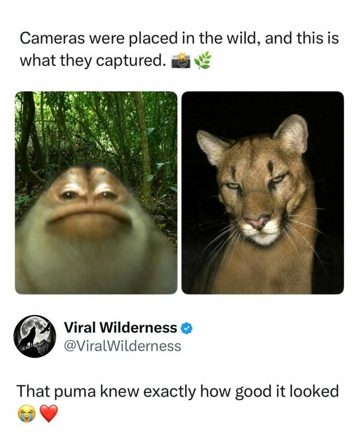 86 Posts About Nature, Wilderness And Animals To Make Your Day Better Or Teach You Something New