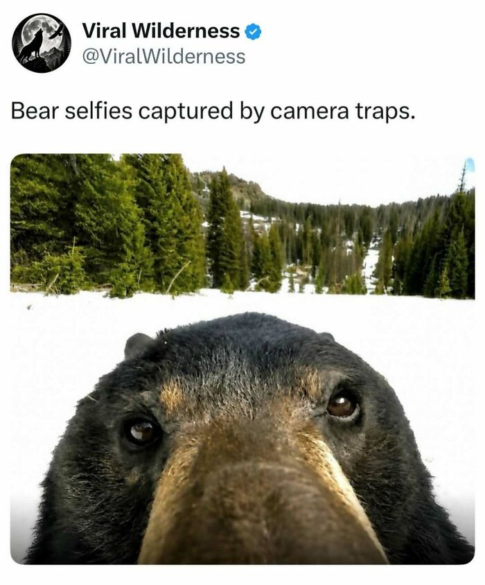 86 Posts About Nature, Wilderness And Animals To Make Your Day Better Or Teach You Something New