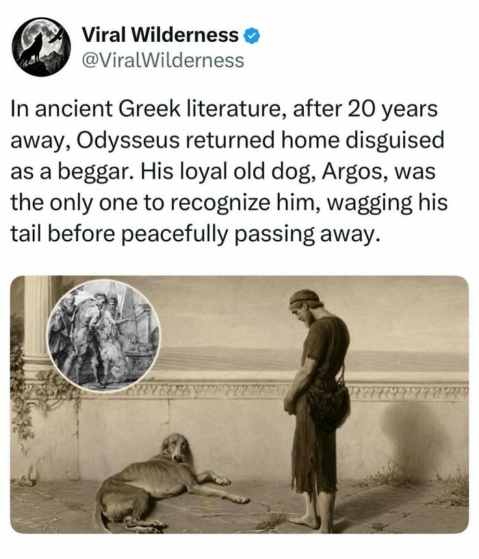 86 Posts About Nature, Wilderness And Animals To Make Your Day Better Or Teach You Something New