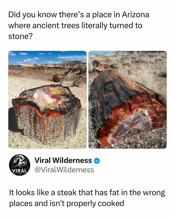 86 Posts About Nature, Wilderness And Animals To Make Your Day Better Or Teach You Something New