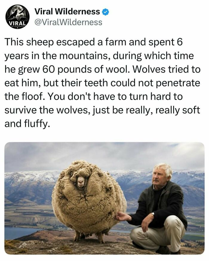 86 Posts About Nature, Wilderness And Animals To Make Your Day Better Or Teach You Something New