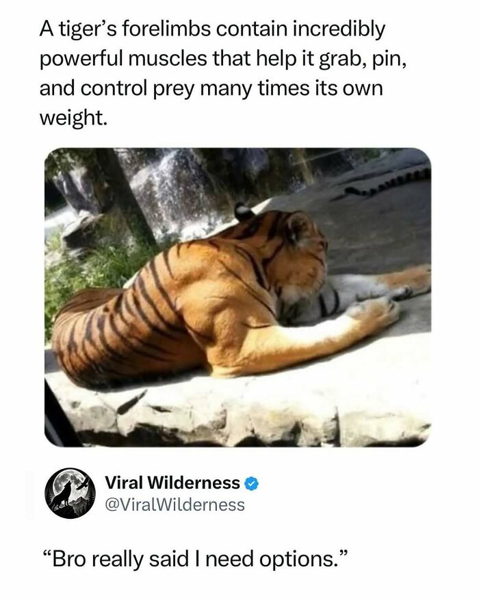 86 Posts About Nature, Wilderness And Animals To Make Your Day Better Or Teach You Something New
