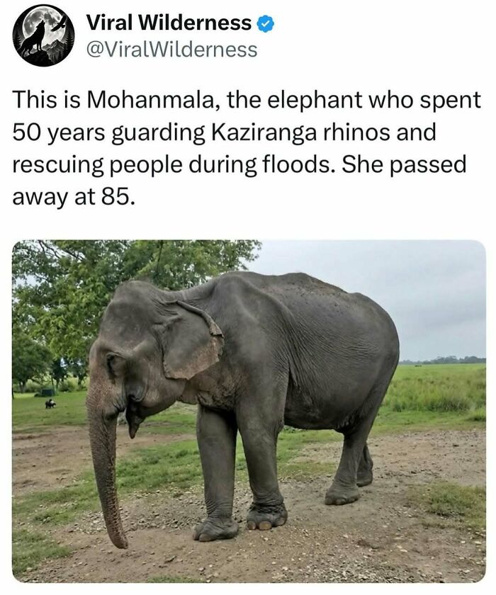 86 Posts About Nature, Wilderness And Animals To Make Your Day Better Or Teach You Something New