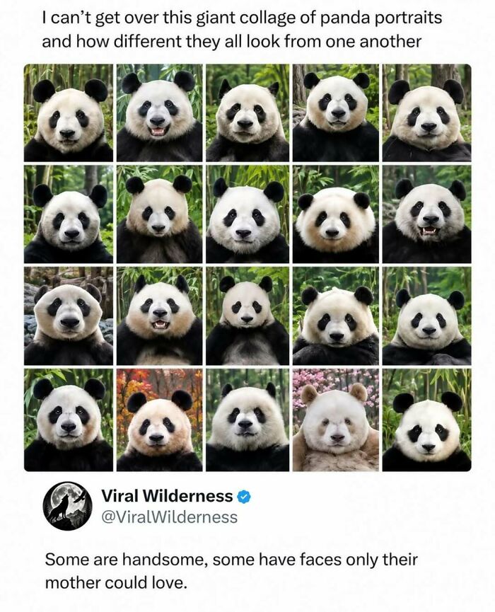 86 Posts About Nature, Wilderness And Animals To Make Your Day Better Or Teach You Something New