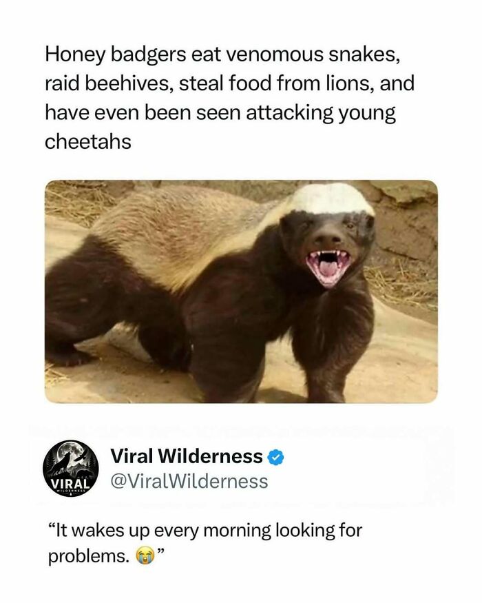 86 Posts About Nature, Wilderness And Animals To Make Your Day Better Or Teach You Something New