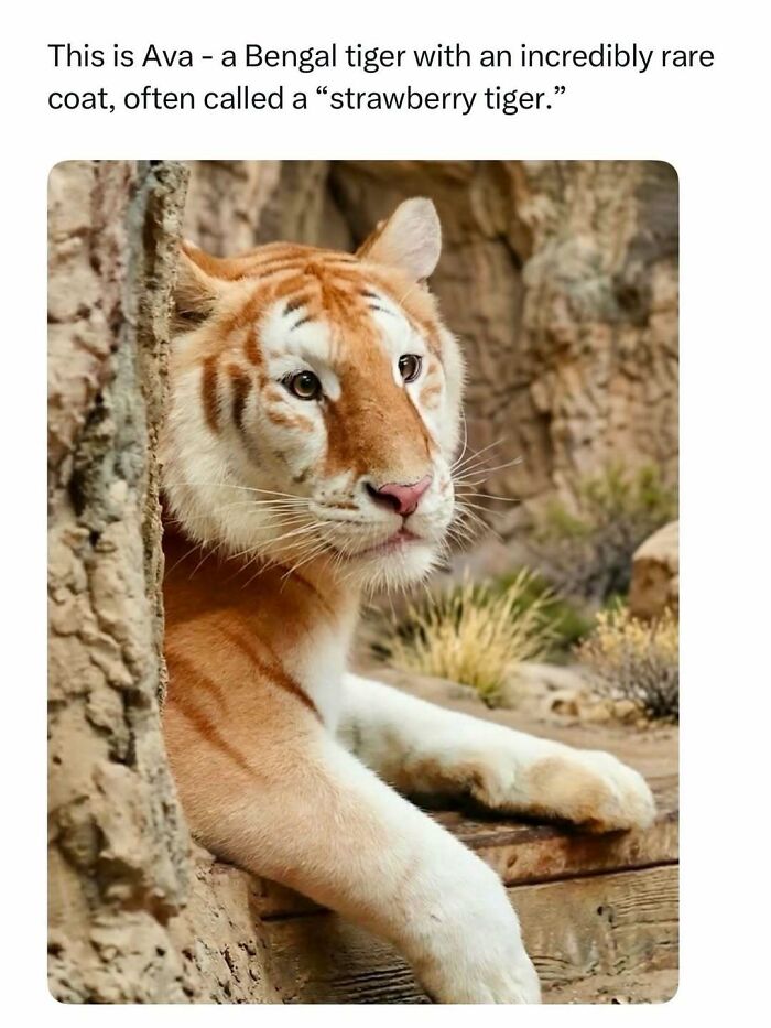 86 Posts About Nature, Wilderness And Animals To Make Your Day Better Or Teach You Something New