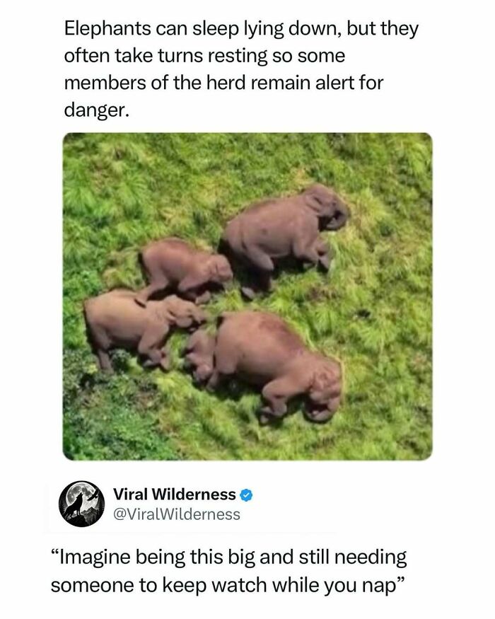 86 Posts About Nature, Wilderness And Animals To Make Your Day Better Or Teach You Something New