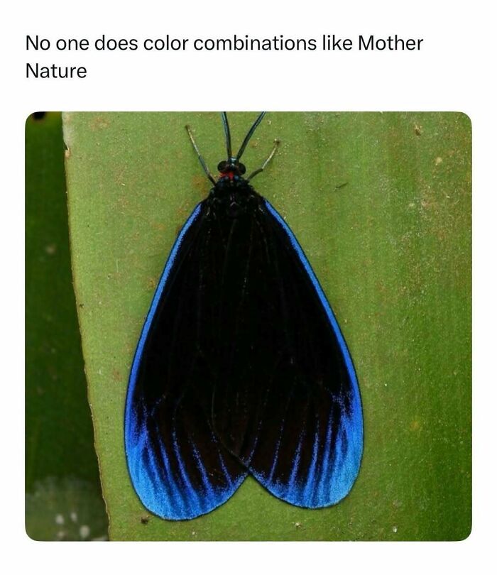 86 Posts About Nature, Wilderness And Animals To Make Your Day Better Or Teach You Something New